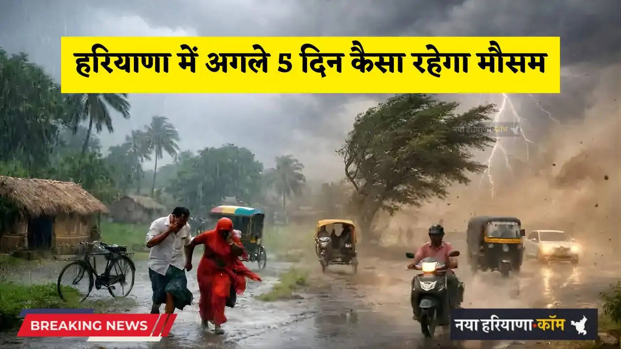 Haryana Weather: हरियाणा में अगले 5 दिन कैसा रहेगा मौसम, देखें किस दिन से होगी बरसात ?